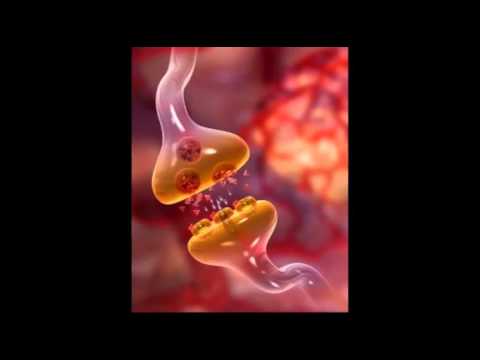 Lalcolismo come guarire il marito di alcolismo Birra di bere fermata ogni giorno e peso perso