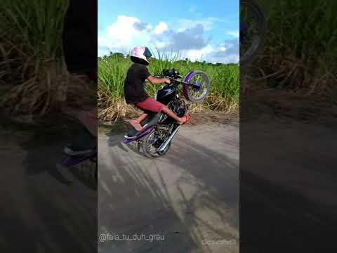 SAN E O SWING - SÓ PITBULL DE RAÇA 🎶 GRAU & ARTE 🚀