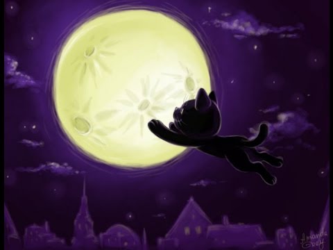 EL GATO VIUDO - CHAVA FLORES