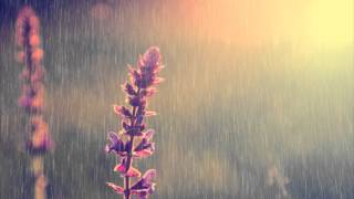 4 HOURS of Piano Instrumental Music with Relaxing Rain | Paeceful Long Playlist | Background music