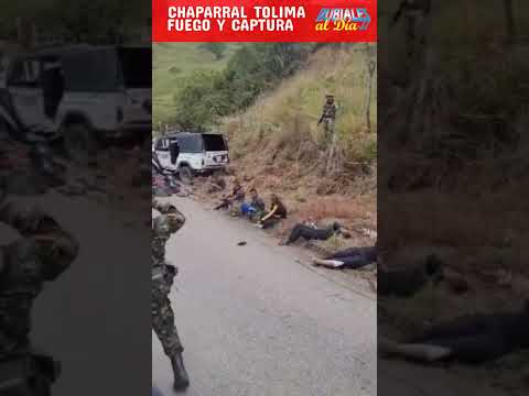 Enfrentamientos en Chaparral Tolima, ¿Como afectan estos sucesos a la población civil?