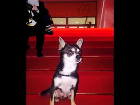 ANIA J FESTIVAL DE CANNES 2016@MartineJungCannes@