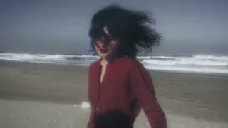 written by lana del rey and sylvia plath ︱subliminal