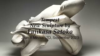TEMPEST Fujikasa Satoko at Joan B Mirviss LTD | Career Overview