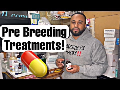 Pre breeding Treatment or flushing females out before breeding!