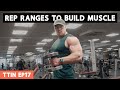 What Are The Best Rep Ranges to Train in For Muscle Growth? | TTIN Ep. 17