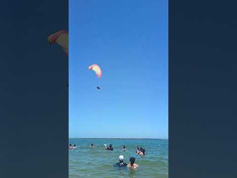 MUITA DIVERSÃO NA PRAIA DO GUNGA - ALAGOAS #nordeste2026 #Roteiro #beiramar #coqueiral #viral #short