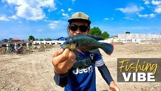 BEAUTIFUL UNKNOWN FISH, FISHING VIBE | Y2E35