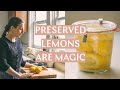 Preserved Lemons and Preserved Lemon Hummus // a magical condiment to have in your pantry