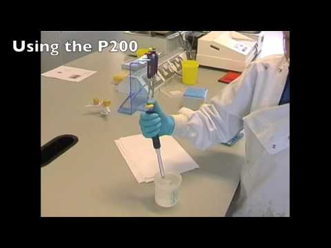 School_Pipetting 101_Common Errors