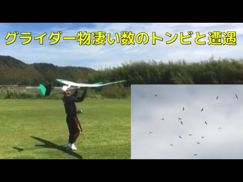 ラジコングライダー - 定義