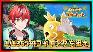 【ポケモンSV】お守りなし！輝きパワーなし！大量発生のみの１/１３６５の金コイを狙う！【#ビビクエ】【#金コイ】