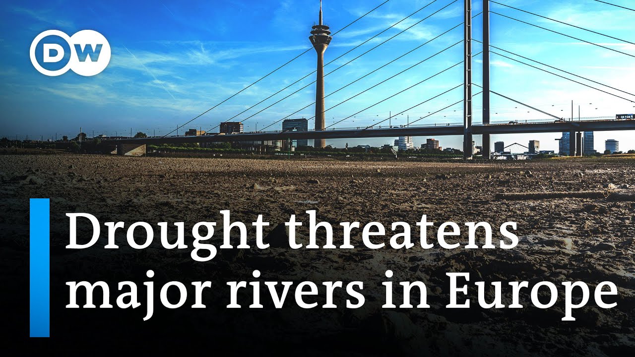 Drought in Europe threatens major shipping river | DW News