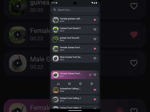 Guinea Fowl Sounds & Calls Video