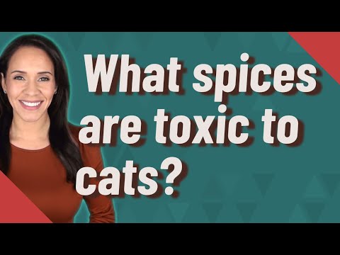 What spices are toxic to cats?