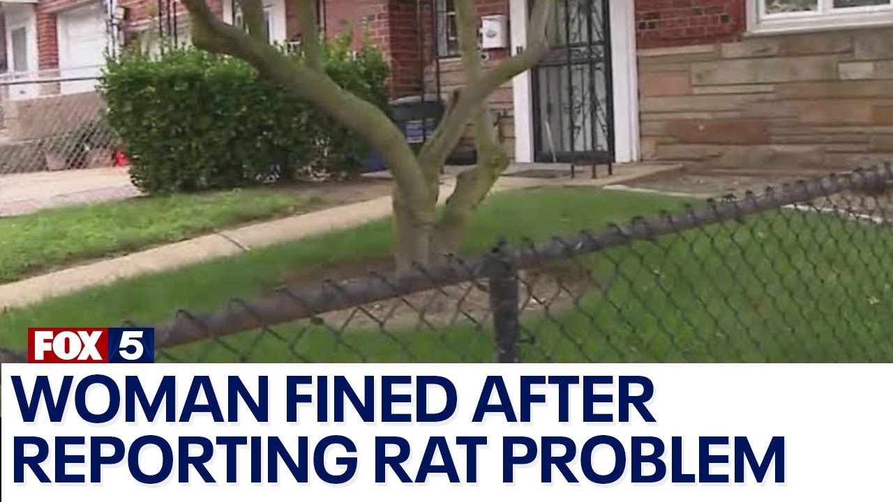 Queens woman Fined after reporting rat problem