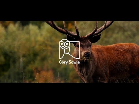 OWL MOUNTAINS - SPRING [ 4k ]