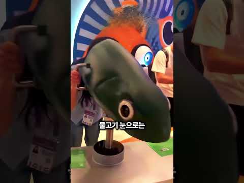 동물마다 세상을 보는 방식 😳