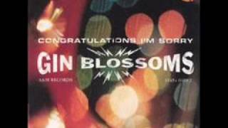 Gin Blossoms As Long AS It Matters Acoustic