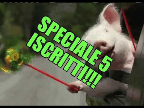 SPECIALE 5 ISCRITTI