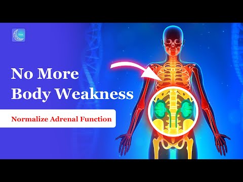 1335 Hz Normalize Adrenal Function | No More Fatigue, Muscle Weakness | Boost Immunity