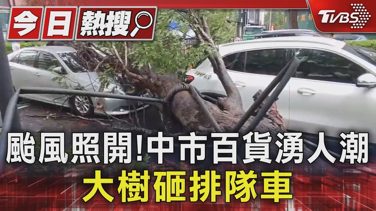 颱風照開!中市百貨湧人潮 大樹砸排隊車