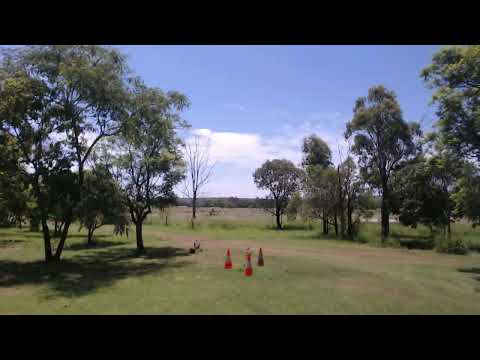 #0292 The Window | #TimeLapseProject | 2026-01-15 | [16/01/2026 0554]