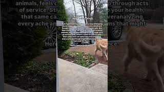 Virgos ♍️ are detail oriented perfectionists