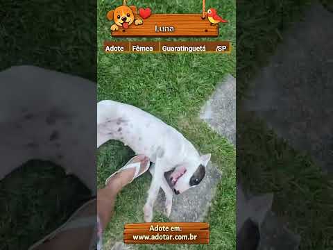 Vídeo de Luna