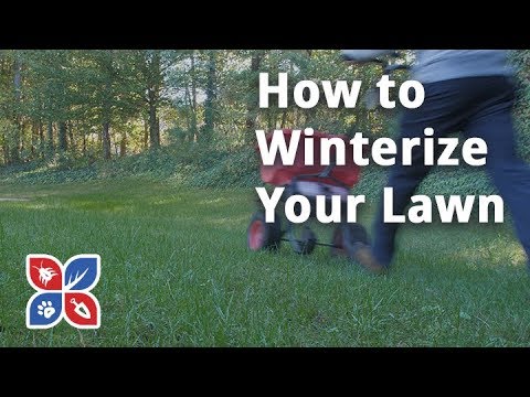  Do My Own Lawn Care - How to Winterize your Yard Video 