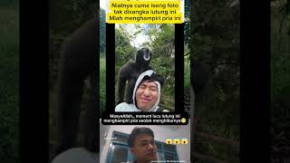 Download lagu Moment lucu lutung ini menghampiri pria seolah menghiburnya🥰#tahukahkamu #storywa #videoviral #fyp mp3 Download lagu Moment lucu lutung ini menghampiri pria seolah menghiburnya🥰#tahukahkamu #storywa #videoviral #fyp mp3