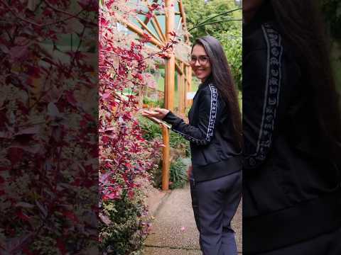 Jardim Temático de São Antônio do Pinhal em São Paulo