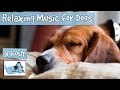 OVER 8 HOURS of Sleep Music for Dogs! Help Your Dog Calm Down and Get to Sleep with our Playlist!