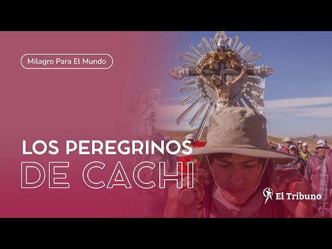 Emoción y alegría en la llegada de peregrinos de Cachi a Payogasta