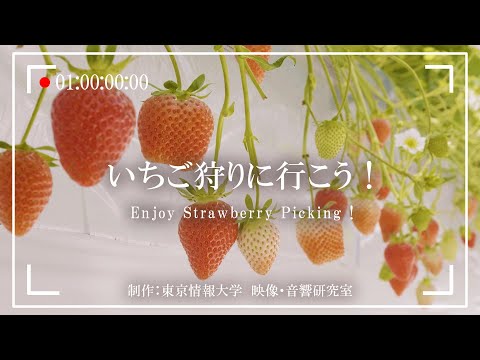 千葉市の観光プロモーション～いちご狩りに行こう！～