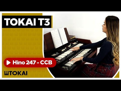 TOKAI T3: Hino 247 - CCB