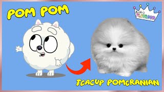 Bluey Characters in Real Life! 🐾 See Bluey, Bingo & Friends as Real Dog Breeds!