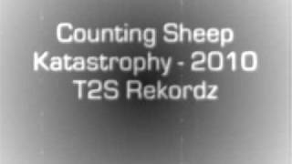 Counting Sheep - Katastrophy