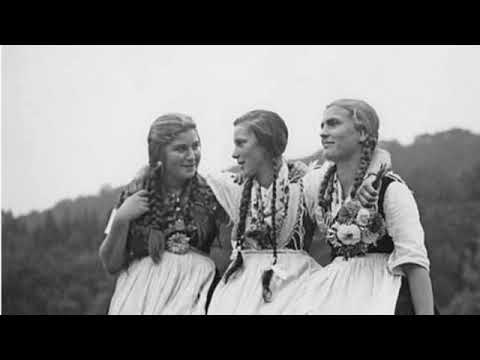 Hail Wermland (Toroidh)