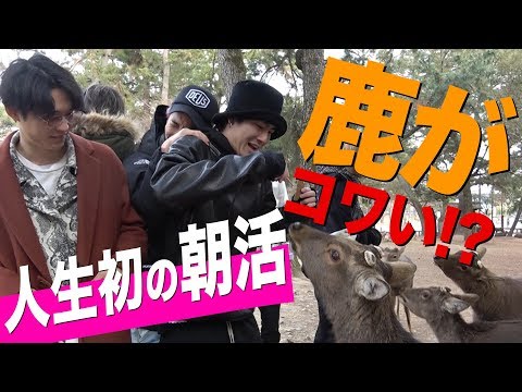 SixTONES【初めての朝活】鹿に囲まれ大ピンチ!?