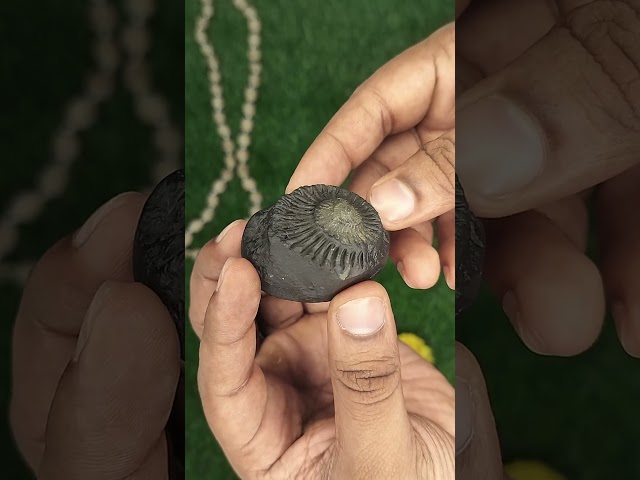 Surya Shaligam video
