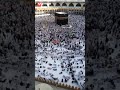 Teri Rehmat K Talabgar Hain Hum Naat