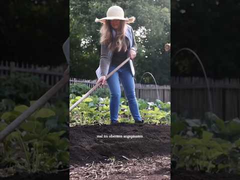Schnecken im Ökosystem: Ihre unterschätzte Rolle neu bewertet