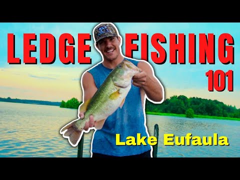 Aarons Eufaula Al