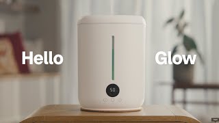 Molekule Glow by Mo – The All-Day Humidifier for Sleep, Skin & Wellness (2026)