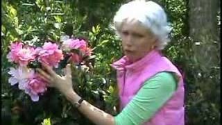 To Make A Long Story Short