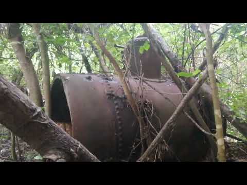 Visitamos una colmena de 30 años / 30 year old hive.