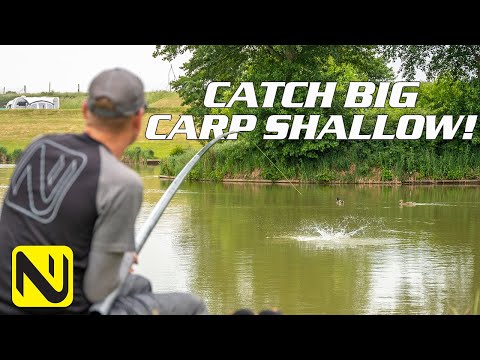 The MOST Exciting Summer Tactic EVER! | Catch BIG Carp Shallow