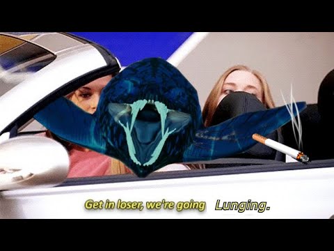 LUNGES - Beasts of Bermuda