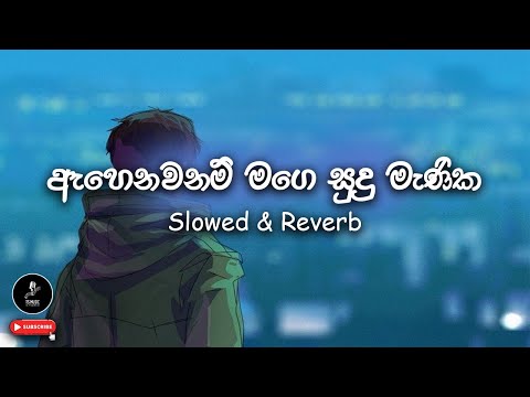 🎶 ඇහෙනවනම් මගේ සුදු මැනික | Ahenawanam Mage Sudu Manika | Slowed & Reverb | @TSMusic